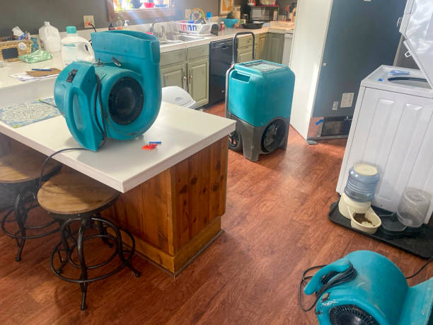 Best Carpet water damage restoration  in Wind Gap, PA