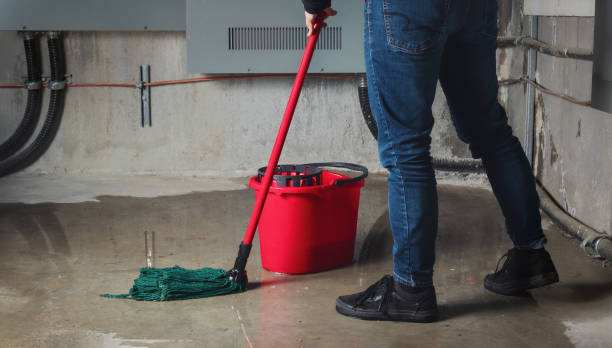 Best Flooded house restoration  in Wind Gap, PA