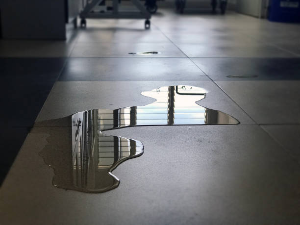Best Commercial water damage restoration  in Wind Gap, PA