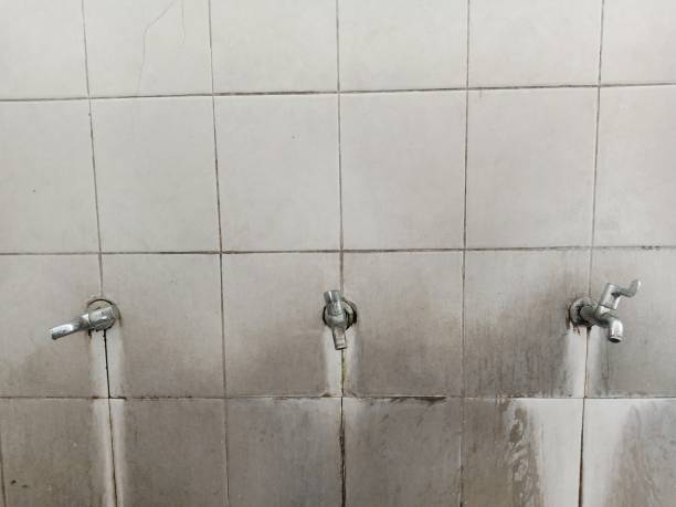 Best Mold removal after water damage  in Wind Gap, PA