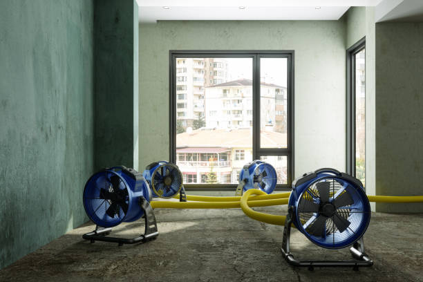 Best Water damage restoration insurance claims  in Wind Gap, PA