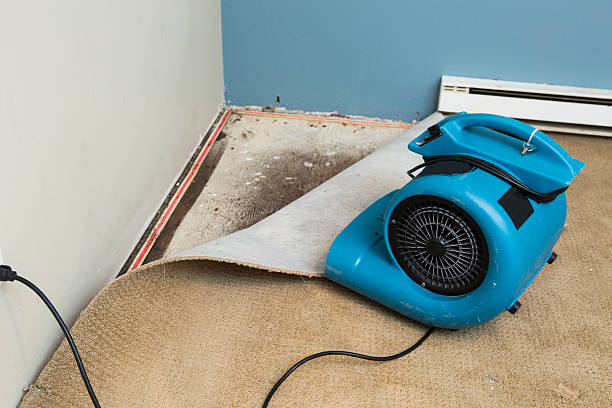 Best Basement water damage restoration  in Wind Gap, PA